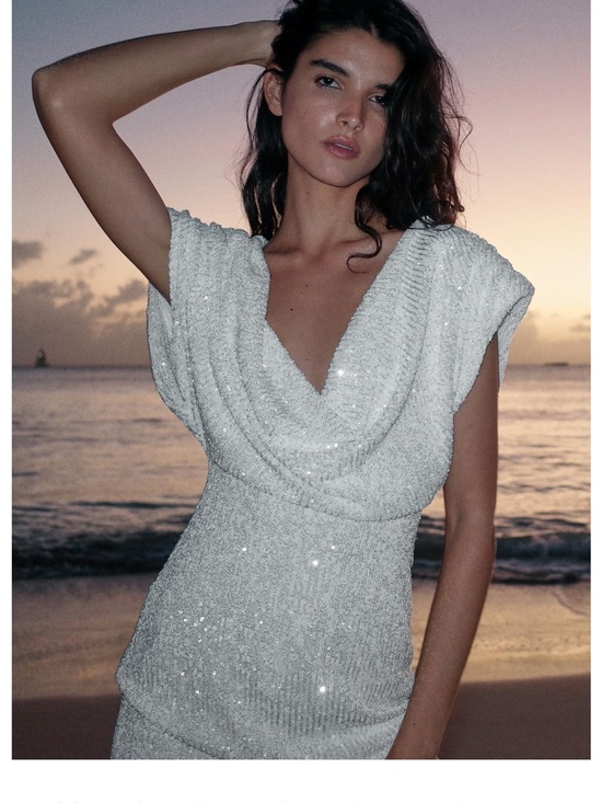 Zara Dresses & Skirts - ZARA SEQUIN MINI DRESS